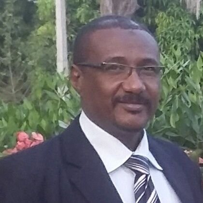 كاتب صحفي وناشط ومحلل سياسي ومقدم برنامج تلفزيونية بقناة امدرمان الفضائية _ السودان.
