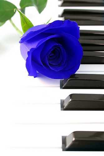 Listen to Classical Music. Collect Music sheets. Read Novel books. Sheet Music Finder.