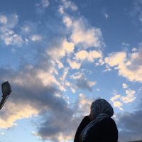 bluebird (@rowansheta) Twitter profile photo