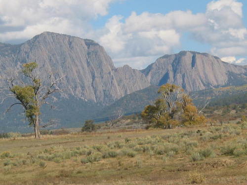 EllenSmithBrown's profile picture. *US Forest Service, Wildland Fire Service*Mom*Restoration junkie*Green Thumb*Runner*Pantheist*Underdog Advocate*Philosopher*StarWisher