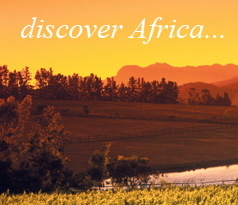 We are a business that promotes all that Southern African tourism has to offer to the global visitor. With 1000's of accommodation options available.