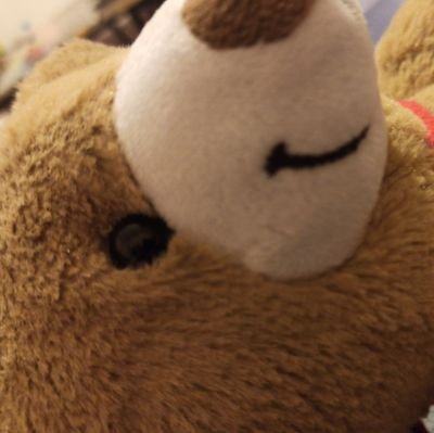 snm_ozdmr's profile picture. 