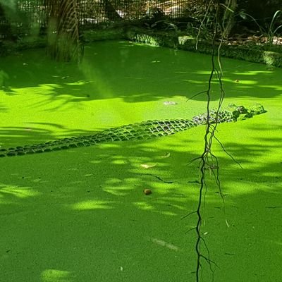 Physicien. Rationnel. Commentateur cru mais naturel sans arrière-pensée, enfin presque.