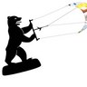 BerlKiteschule's profile picture. Berliner Kiteschule - Kitesurfen - Kite Landboarding - Snowkiting - Berlin - Ostsee