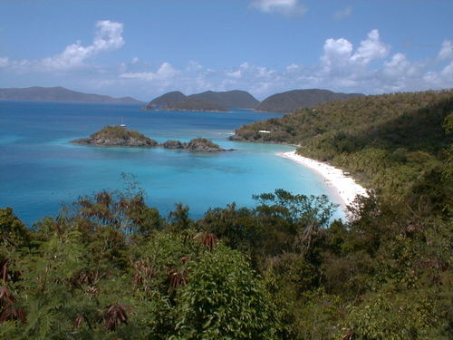 Jefftech1's profile picture.