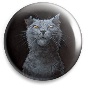 always year of cat공주さんのプロフィール画像