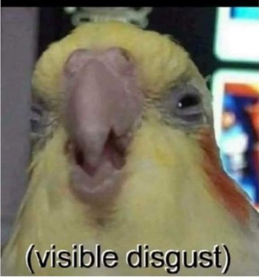 Justher94973433's profile picture. Fucc off just here for the news