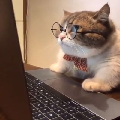 Sec_ii7's profile picture. 