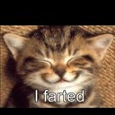 Hayden Jefferies - @hayden_jeff5 - Twitter