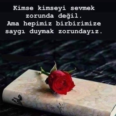 mikrobladeng's profile picture. 