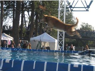 Oprtnst's profile picture. 