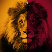 GalatAslanı (@aslan_galat) 's Twitter Profile Photo GalatAslanı (@aslan_galat) 's Twitter Profile Photo