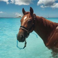 saad Elkot🏘🏠 (@saad03701) 's Twitter Profile Photo saad Elkot🏘🏠 (@saad03701) 's Twitter Profile Photo
