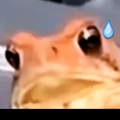 brouwasted's profile picture. ngl u wasted