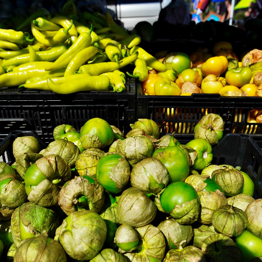 You never know what you’re going to find at the historic Maxwell Street Market! Shopping, music, fun and amazing street food!