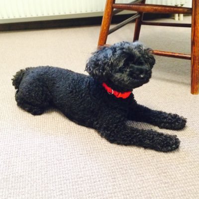 yamato_tw_16's profile picture. IT業界で働きながら倹約と投資に励む20代男性／知らないために損することが多いと痛感してお金の勉強を始める／インデックス投資🇺🇸と持株で金融資産を増大／2020年は米国高配当株にチャレンジ予定／気づきを皆さんに共有していきたし