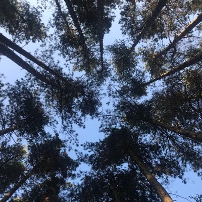 Kendime notlar düşeyim, biraz da sizin notlarınızı okuyayım.