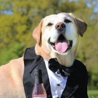 JustaScribbler (@justascribbler) 's Twitter Profile Photo JustaScribbler (@justascribbler) 's Twitter Profile Photo