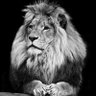 namasan1104's profile picture. 人は社会の中で生かし生かされており、そこに「ありがとうの心」と「思いやりの心」が生まれる。その心がない者は、社会を論ずる資格もないし、自分を主張する資格もない。