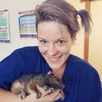 drchananigans's profile picture. Veterinarian. Behaviour Counsellor. Survivor. 
Equity, Inclusion and Diversity advocate 🏳️‍🌈 She/they.
Second favorite city: Paris
♻️