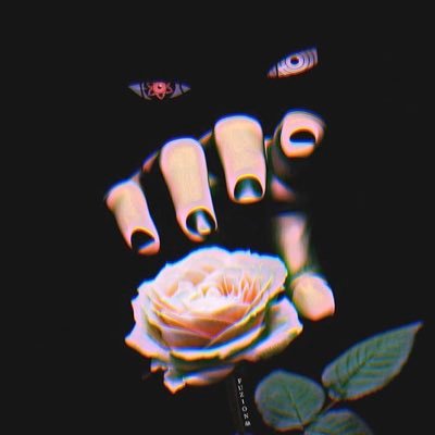 Quallifyy's profile picture. 21