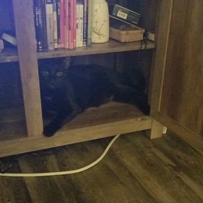 mkoverholser112's profile picture. 