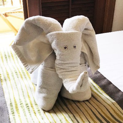 aokichi2020's profile picture. 【米国株資産】9,100万（24年6月）運用中／ 海外旅行／リゾート🏝・カジノ🎰／米国株投資＋入金最大化で資産1億を目指す／【ＰＦ】→TECL,QQQ,VGT,VOO,VTI,GATMAN,レバナス等。新NISAは全て投資信託。