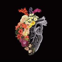 د.انمار الجنابي (@anmarmohammed92) Twitter profile photo