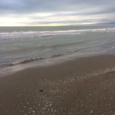 f511461eeeb5463's profile picture. 