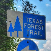 Texas Forest Trail(@etxtraveler) 's Twitter Profile Photo