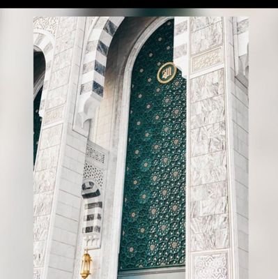 Adnan 🌵
Quran and sunnah.
I'm also homophobic laugh out loud 💌