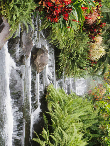 justdiabetes's profile picture. Hi. My name is Keta and I am a 12 year old runner/figure skater/student/type one diabetic/lukemia survivor/big sister.Its hard being a preteen with diabetes.