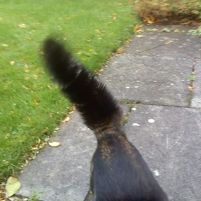 RandyHemp's profile picture. RIP