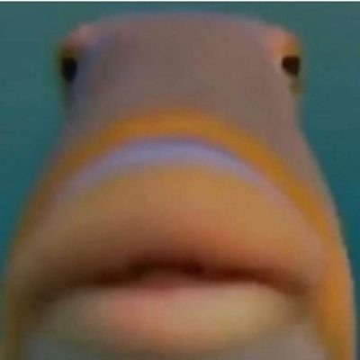 kokballtorture's profile picture. Davis has implants💦💯🚫🧢🙏🏿