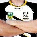 Ex-panda (@rlexpanda) 's Twitter Profile Photo