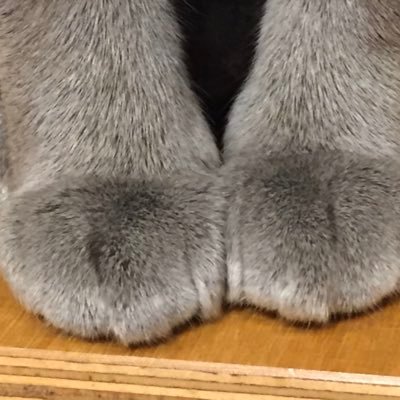 Take Take C324 Auf Twitter 恋愛サーキュレーションの英語版があっただとーー W ゚ 恋愛サーキュレーション 恋愛サーキュレーション英語版 Renai Circulation English Cover By Lizz Robinett T Co 8i4xrpfl7v Youtubeより Take Take C324 Auf Twitter 恋愛サーキュレーションの英語版があっただとーー W ゚ 恋愛サーキュレーション 恋愛サーキュレーション英語版 Renai Circulation English Cover By Lizz Robinett T Co 8i4xrpfl7v Youtubeより