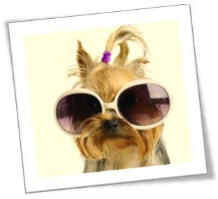 Sniffing out amazing deals & then passing it on to all of my friends. Always 50-100% off. Sign up for a daily email @ http://t.co/DAwykQCYWA