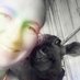 MotherHeifer 🐮 (@perfectmessmom) Twitter profile photo MotherHeifer 🐮 (@perfectmessmom) Twitter profile photo