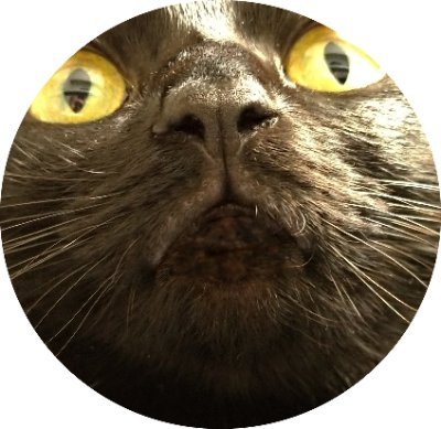 まずるさんのプロフィール画像