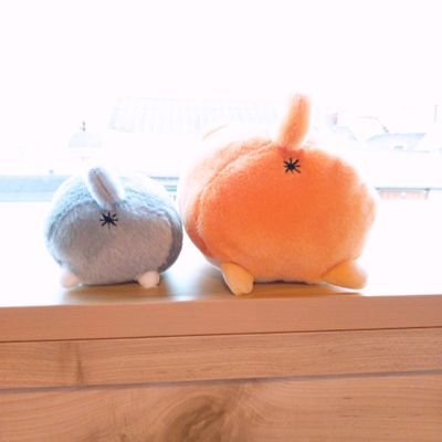 hIbmqVJ4EgorxbT's profile picture. 