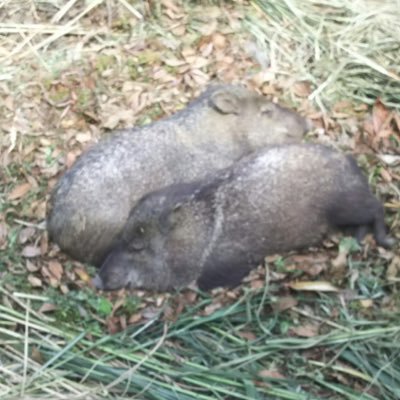 IT業界で仕事してます。資産運用もやっていて準富裕層まで達しました。パチとかスロやってた人は金銭感覚バグってて資産運用に向いてる説を唱える人間です。バラエティとラジオ好き