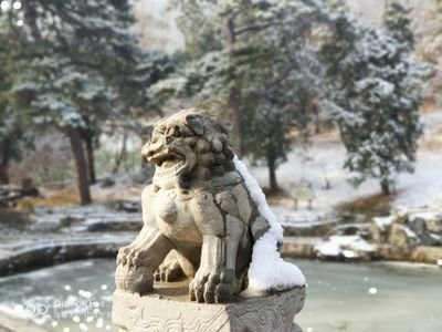 vUpUW9WLoiZfoDC's profile picture. 崔牛会创始人