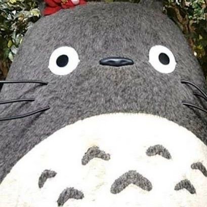 趣味垢