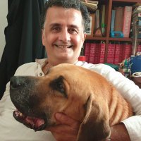 Nigel Hatch (@hatchnigel) 's Twitter Profile