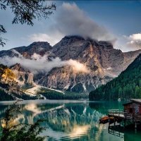 followGreta (@gretafollow) 's Twitter Profile