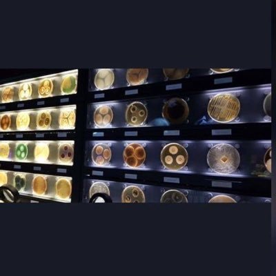 knhj070's profile picture. اخصائيه مختبر | اللهم اجعلني مباركاً أين ما كنت.