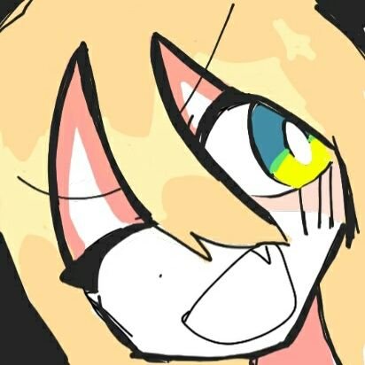 키노✨さんのプロフィール画像