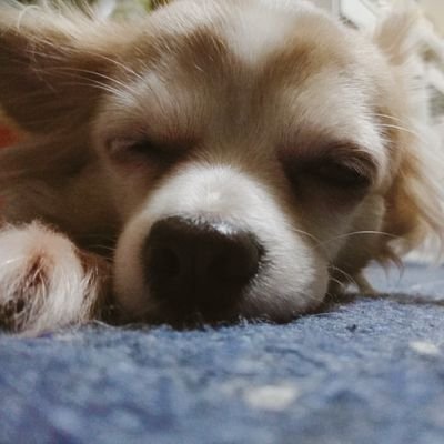 mari980908's profile picture. 仙台
星🌃/写真📷/バイク🏍️