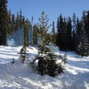 Don Read - @dread1951 - Twitter