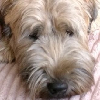 ErykFromm's profile picture. Czasami można oszukać wszystkich,
niektórych można oszukać zawsze,
ale oszukać wszystkich na zawsze - nie sposób.